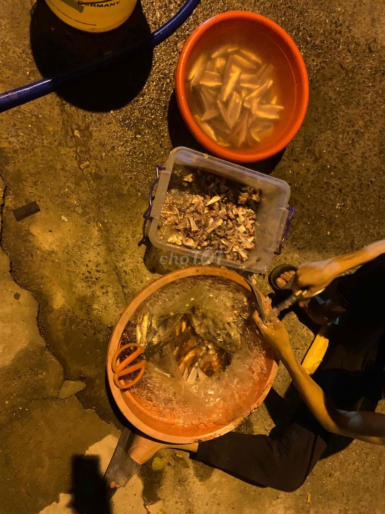 cá trích mồi làm sạch. Mua bán Thú cưng khác tại Huyện Hóc Môn Tp Hồ Chí Minh được đăng bởi Gia Huy hình 1