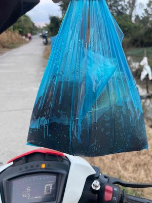 Trùn chỉ tươi sống Kiên Giang, cần thơ. Mua bán Phụ kiện, Thức ăn, Dịch vụ tại Huyện Cờ Đỏ Cần Thơ được đăng bởi MeCaVang VN