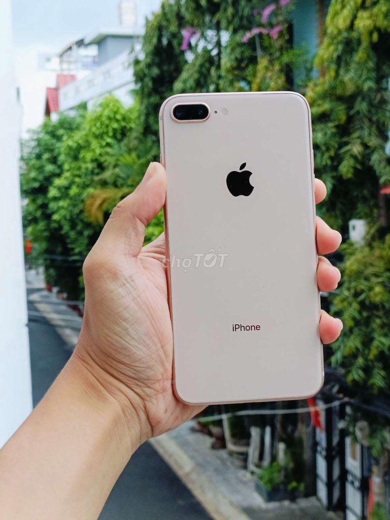 Apple iPhone 8 Plus Vàng hồng. Mua bán Điện thoại tại Quận Hải Châu Đà Nẵng được đăng bởi Lộc Roy hình 1