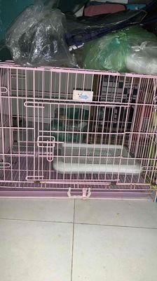 bán lồng nuối chó. Mua bán Phụ kiện, Thức ăn, Dịch vụ tại Quận 6 Tp Hồ Chí Minh được đăng bởi Huỳnh Tuấn Đạt
