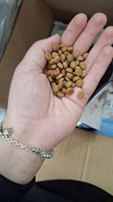 Thức ăn cho chó Dog MaNia 1kg