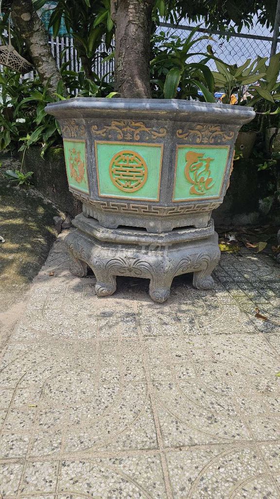 Chậu cây cảnh Xi măng Cổ điển Bát giác. Mua bán Cây cảnh, đồ trang trí tại Thành phố Thủ Dầu Một Bình Dương được đăng bởi A Vỹ hình 1