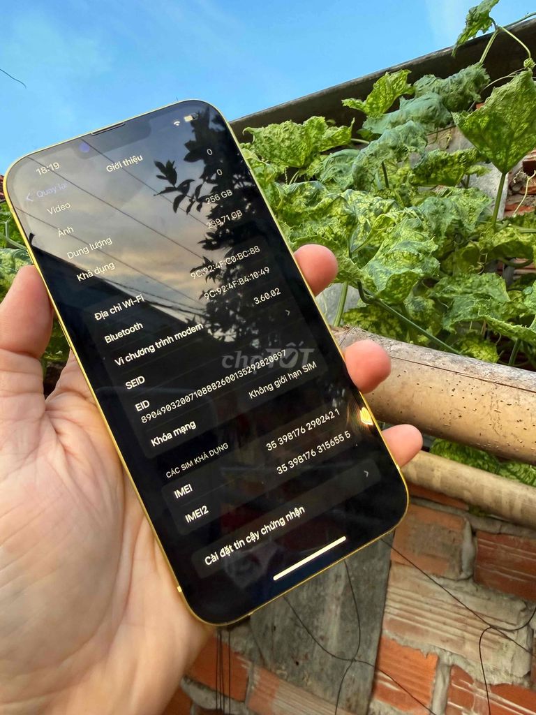 Apple iPhone 14 Plus 256GB Vàng keng quốc tế 2 sim. Mua bán Điện thoại tại Quận Ninh Kiều Cần Thơ được đăng bởi trà văn minh hình 1