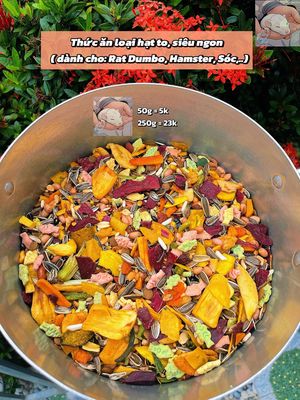 Thức ăn Rat, Hamster, Sóc và bình nước. Mua bán Phụ kiện, Thức ăn, Dịch vụ tại Huyện Châu Thành Tiền Giang được đăng bởi Ratty chuột béo