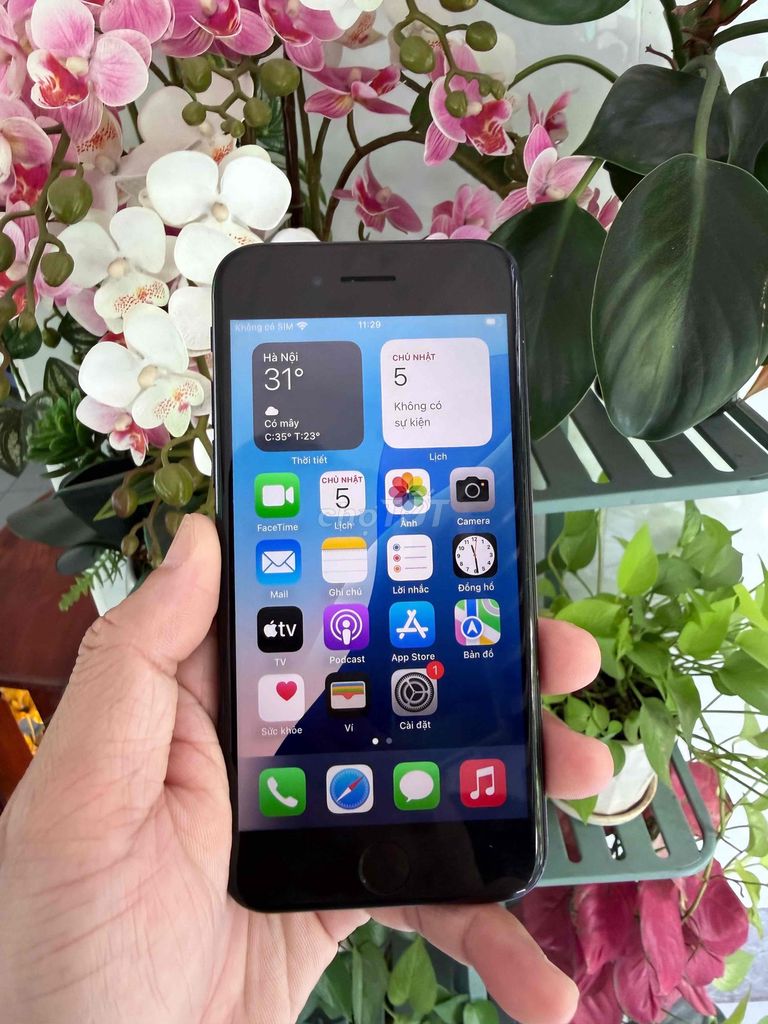 Iphone SE 3 QT 128G zin Áp đẹp 98%. Mua bán Điện thoại tại Thành phố Vĩnh Long Vĩnh Long được đăng bởi Nguyễn Phúc Hậu hình 1