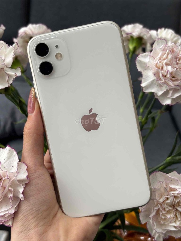IPhone 11 128GB VN Pin New 100 IOS 16 Mượt đẹp. Mua bán Điện thoại tại Quận Ninh Kiều Cần Thơ được đăng bởi Quý Mobile Cần thơ hình 1