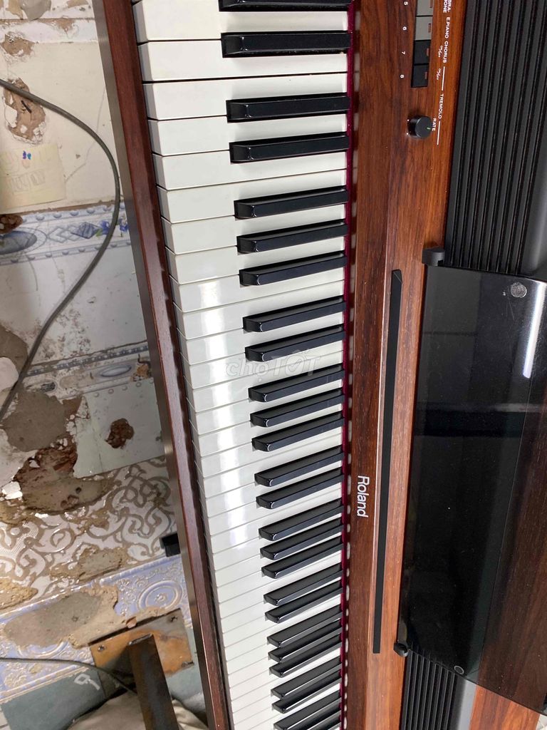 piano rolan 450 nhật 5tr5