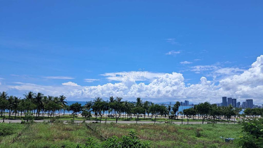 Cho thuê nhà 3 phòng ngủ tại Sơn Trà, Đà Nẵng — ảnh 11
