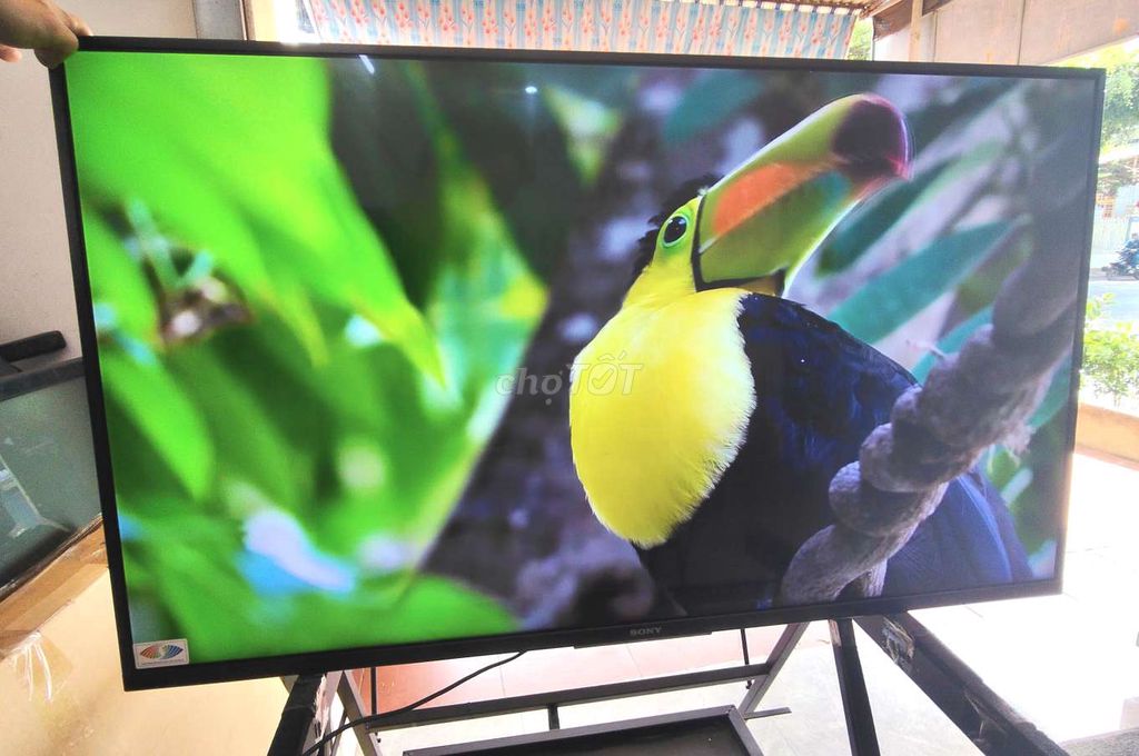 Tivi Sony 43 inch Android Wifi. Mua bán Tivi, Âm thanh tại Thành phố Buôn Ma Thuột Đắk Lắk được đăng bởi giare hình 1