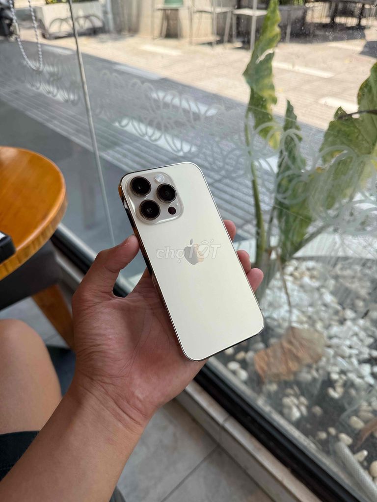 Apple iPhone 14 Pro 128GB Vàng. Mua bán Điện thoại tại Thành phố Cà Mau Cà Mau được đăng bởi Tâm Nguyên  hình 1
