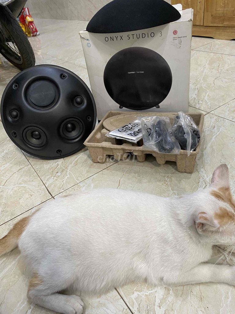 onix3. Mua bán Tivi, Âm thanh tại Thành phố Thuận An Bình Dương được đăng bởi trường  hình 1