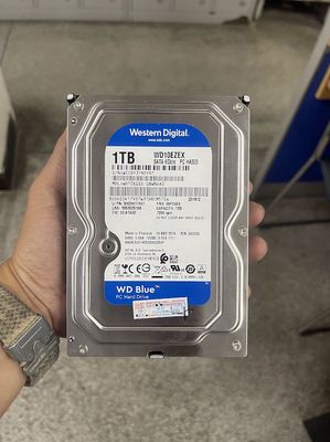 HDD 1TB WD Blue, SSD 128GB Colorful. Mua bán Linh kiện (RAM, Card...) tại Quận 1 Tp Hồ Chí Minh được đăng bởi Đinh Tuấn