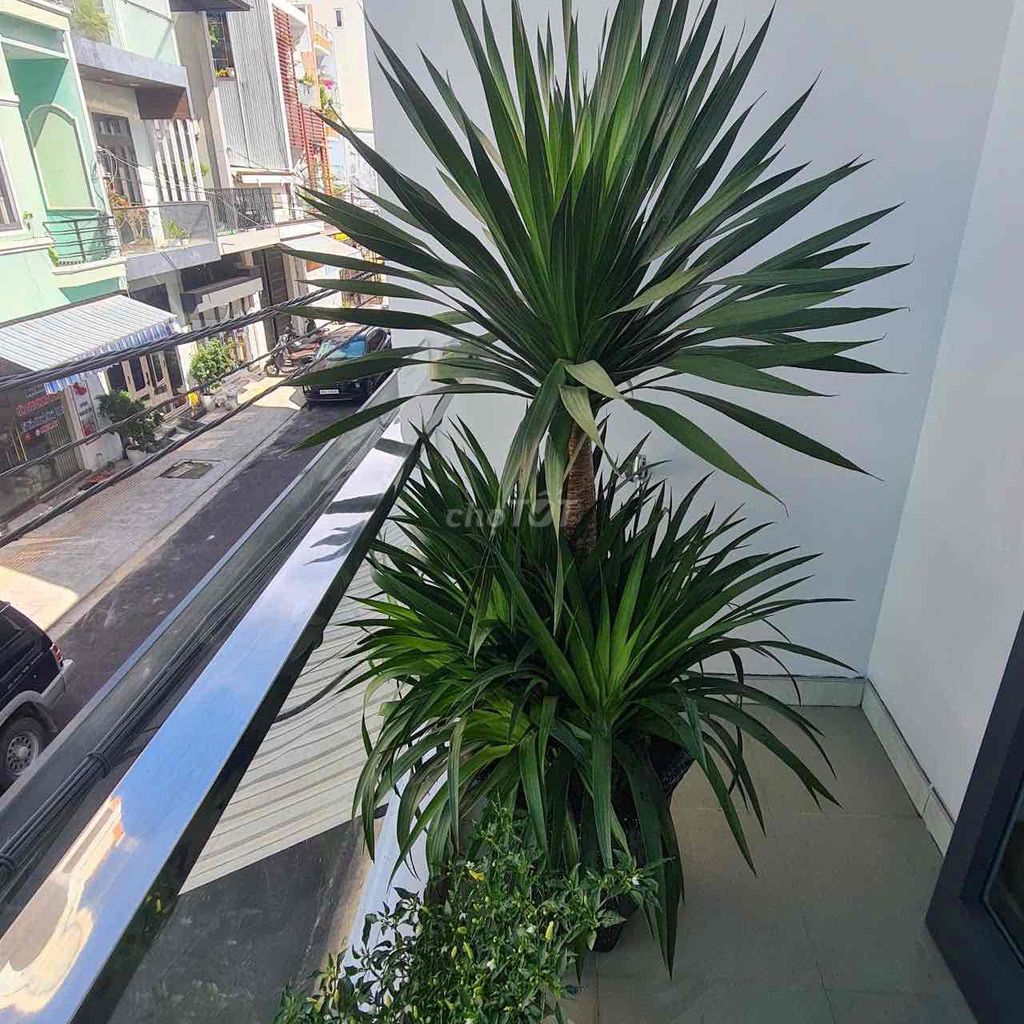 Cho thuê nhà 3 phòng ngủ tại Hải Châu, Đà Nẵng — ảnh 6