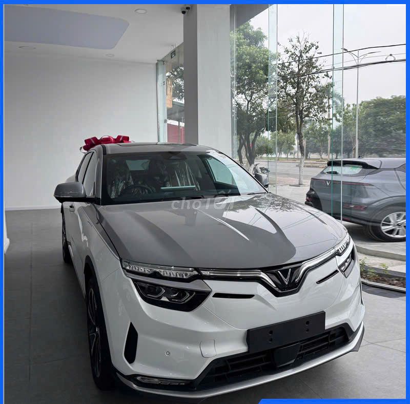 Ảnh số 2