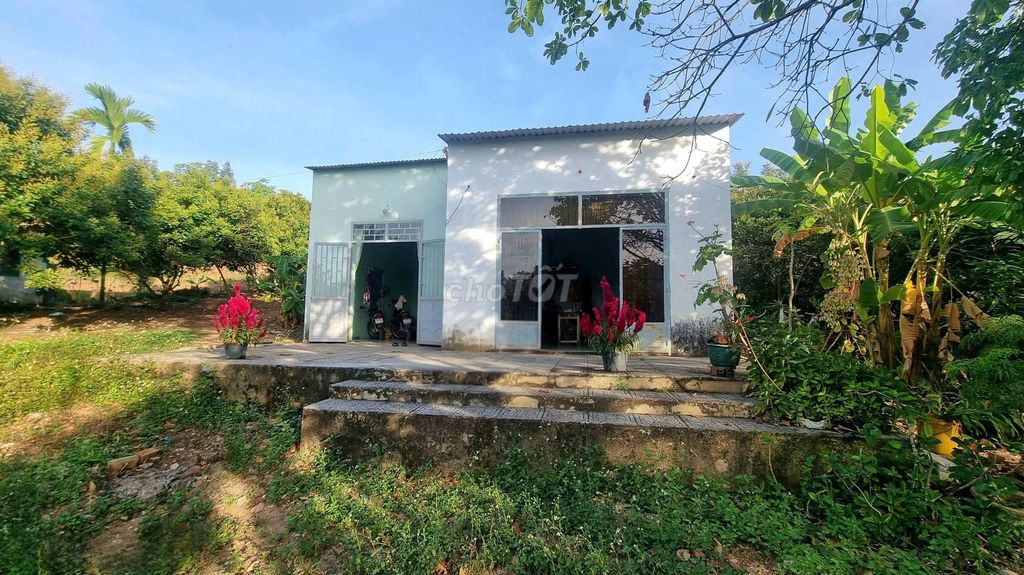 NHÀ VƯỜN THẾ ĐẤT VÀNG PHONG THUỶ, ĐA MỤC ĐÍCH SỬ DỤNG