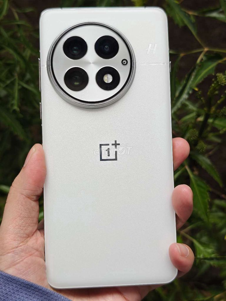 OnePlus 13 256GB Trắng. Mua bán Điện thoại tại Thành phố Đà Lạt Lâm Đồng được đăng bởi Dino hình 1