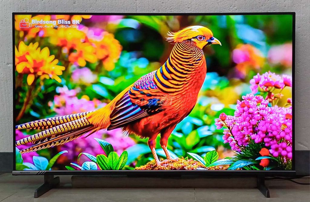 Tivi mới full thùng 75 inch 4K bh 24 tháng. Mua bán Tivi, Âm thanh tại Quận Ninh Kiều Cần Thơ được đăng bởi Luật Nguyễn hình 1