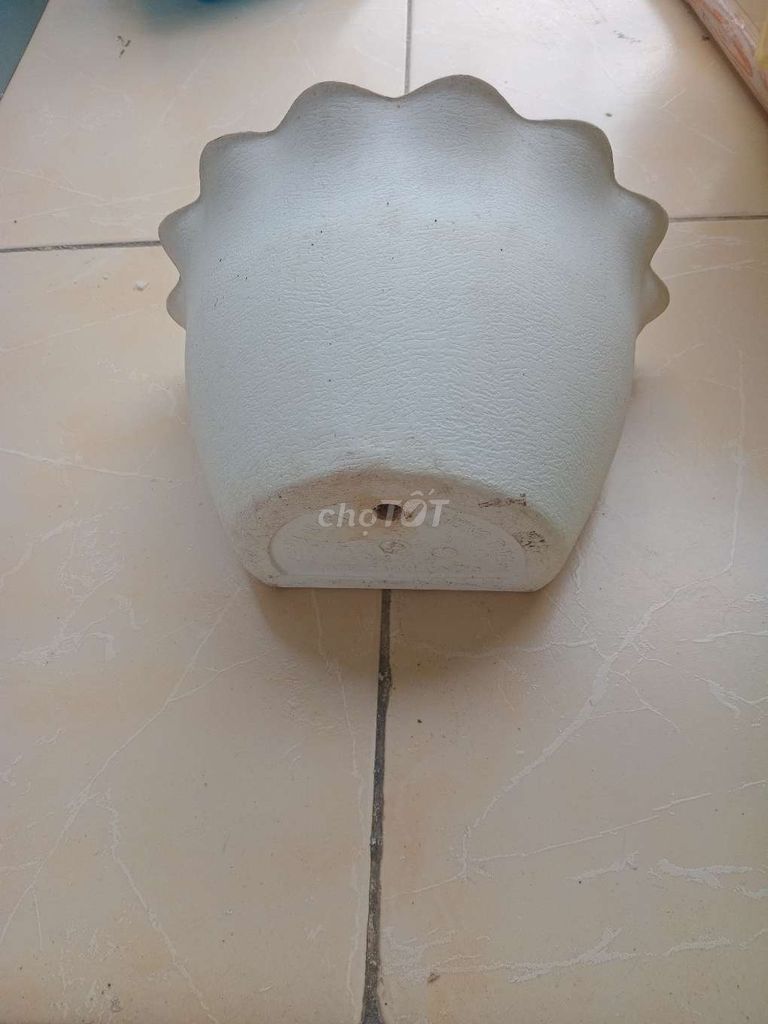Chậu cây treo tường Nhựa Trắng Đã sử dụng. Mua bán Cây cảnh, đồ trang trí tại Quận Long Biên Hà Nội được đăng bởi dohuyngoc hình 1
