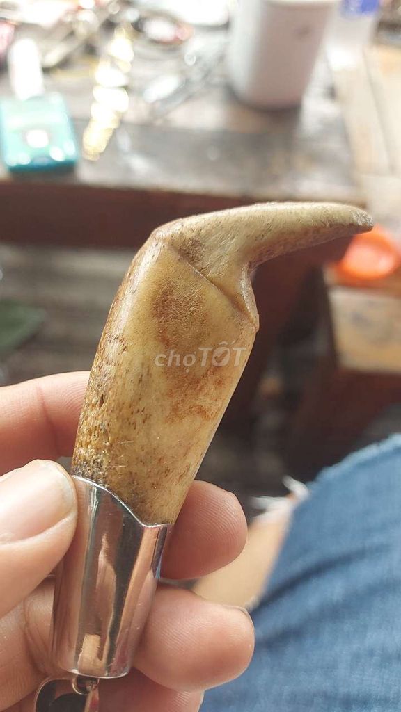 Mặt đeo phong thủy Xương 6cm. Mua bán Đồ sưu tầm, đồ cổ tại Quận 8 Tp Hồ Chí Minh được đăng bởi Tung hình 1