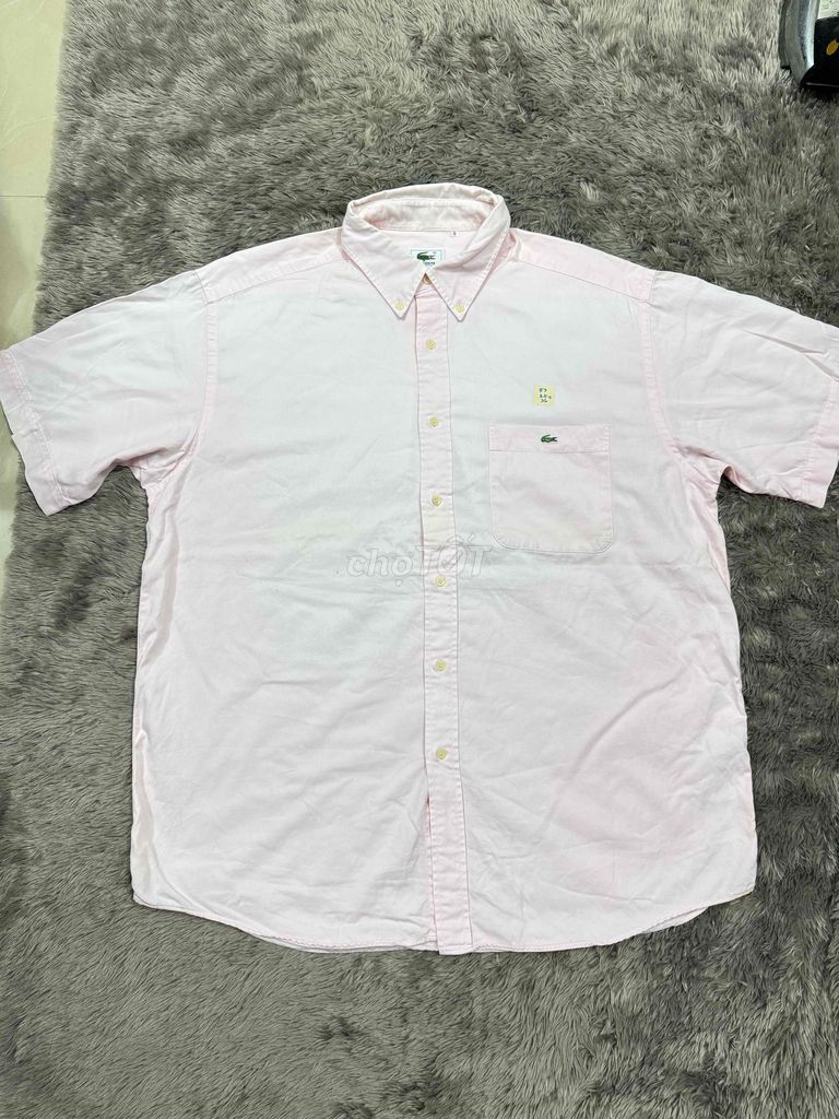 Áo sơ mi Lacoste Nam XXL Hồng. Mua bán Quần áo tại Huyện Phú Tân An Giang được đăng bởi Quoc Anh Ntv hình 1