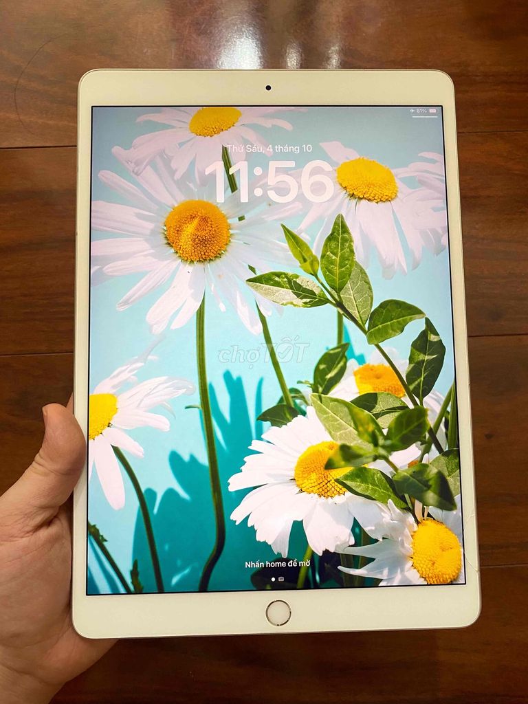 Ipad Air3 64G wifi/4g Nguyên Zin