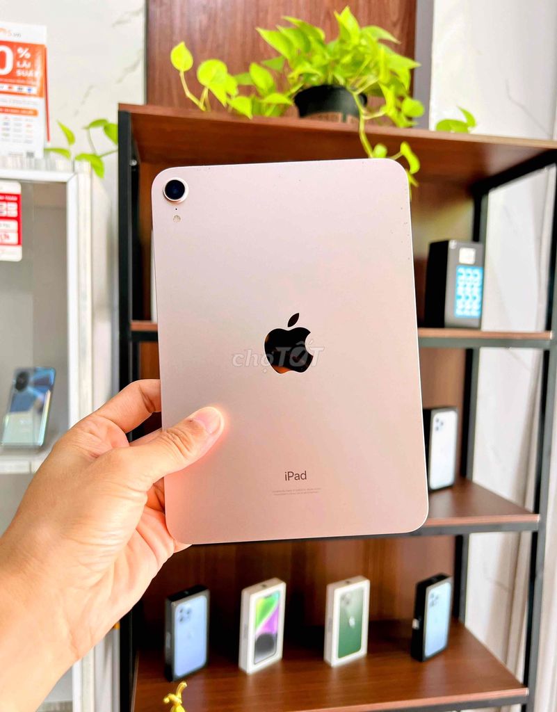 iPad Mini 6 Bản Wifi 256GB. Mua bán Máy tính bảng tại Quận Cái Răng Cần Thơ được đăng bởi drphone hình 1