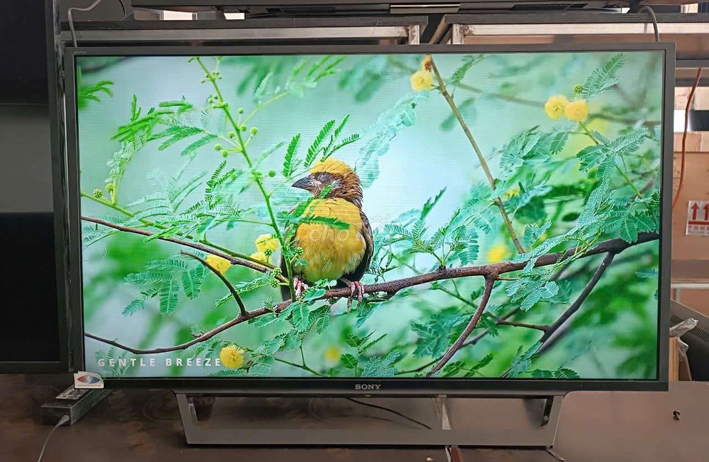 Tivi smart Sony 40 inch nguyên bản. Mua bán Tivi, Âm thanh tại Quận Cẩm Lệ Đà Nẵng được đăng bởi Nguyễn Thị Ngọc hình 1