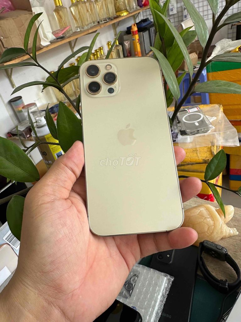 iPhone 12 Pro Max 128GB Vàng. Mua bán Điện thoại tại Thành phố Dĩ An Bình Dương được đăng bởi junstar store hình 1