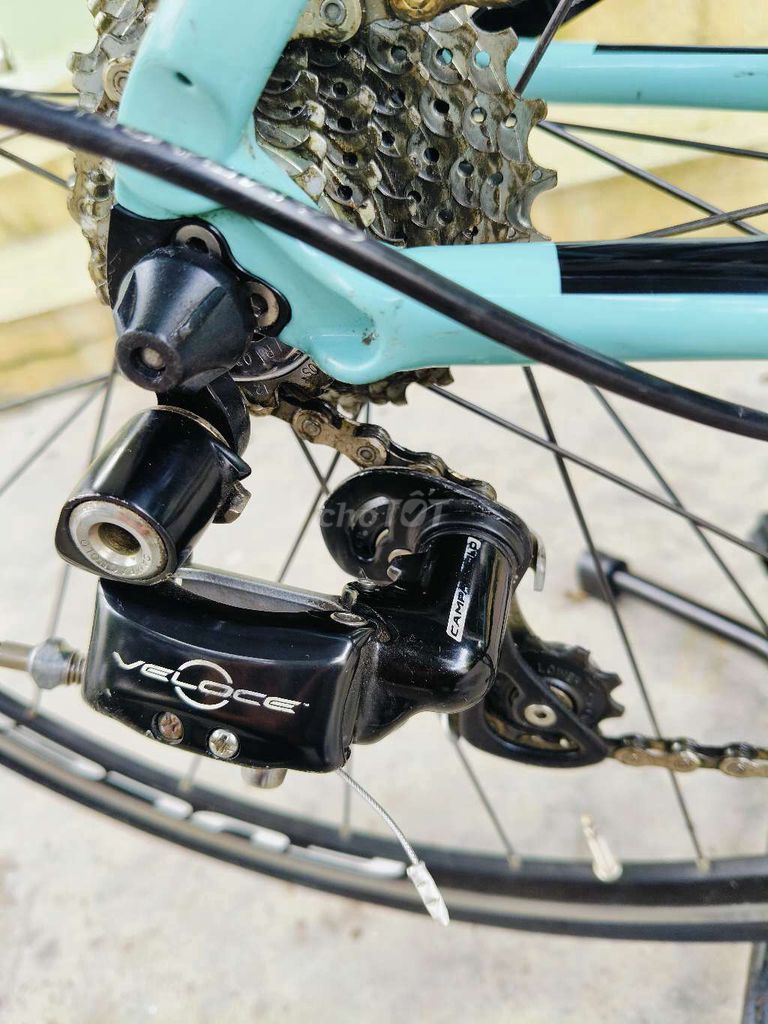 Xe đạp đua bianchi ý. Mua bán Xe đạp tại Quận Ninh Kiều Cần Thơ được đăng bởi nguyen thong hình 6