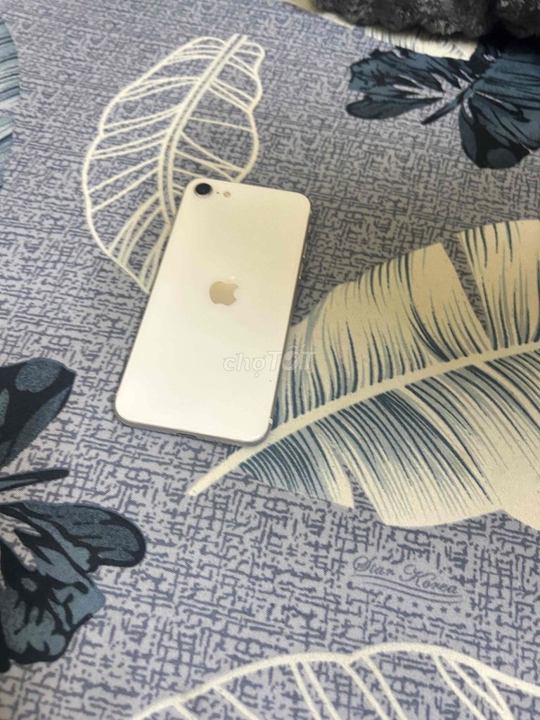 Apple iPhone SE 2020  iCloud sạch đẹp, có GL. Mua bán Điện thoại tại Quận 7 Tp Hồ Chí Minh được đăng bởi Nhóc hình 1