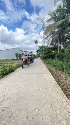 💥 CHỈ 320 TRIỆU - SỞ HỮU NỀN LỘ Ô TÔ SIÊU HỜI!. Mua bán đất tại Huyện Trần Đề Sóc Trăng được đăng bởi Tuyết Nga 