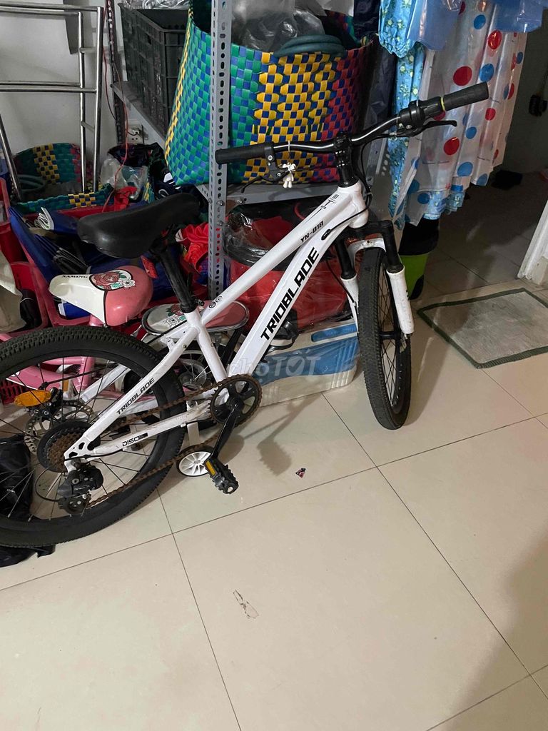 Xe đạp TRIOBLADE TN-818 Trắng. Mua bán Xe đạp tại Thành phố Vũng Tàu Bà Rịa - Vũng Tàu được đăng bởi phụng  hình 1