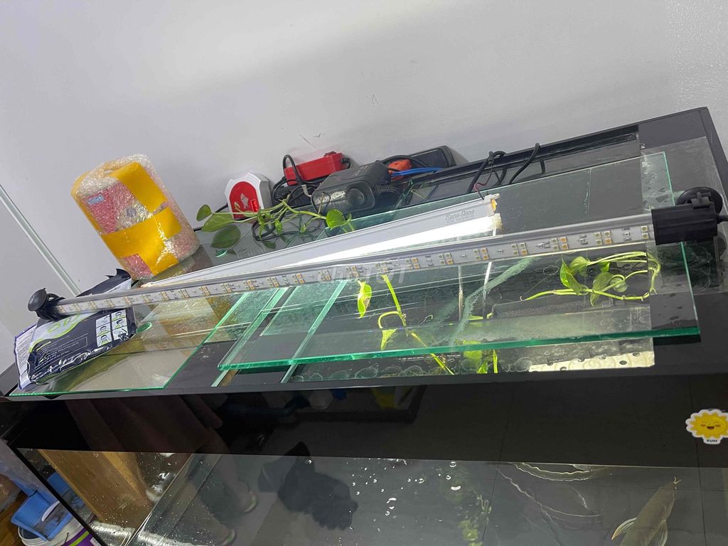 Đèn bể cá Mayin cho bối. Mua bán Phụ kiện, Thức ăn, Dịch vụ tại Quận Bình Thạnh Tp Hồ Chí Minh được đăng bởi nttt1997 hình 1