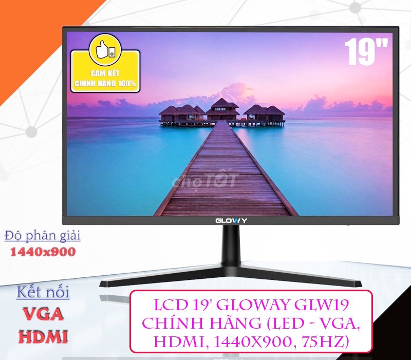 LCD 19 GLOWAY GLW19 Chính hãng LED - VGA, HDMI