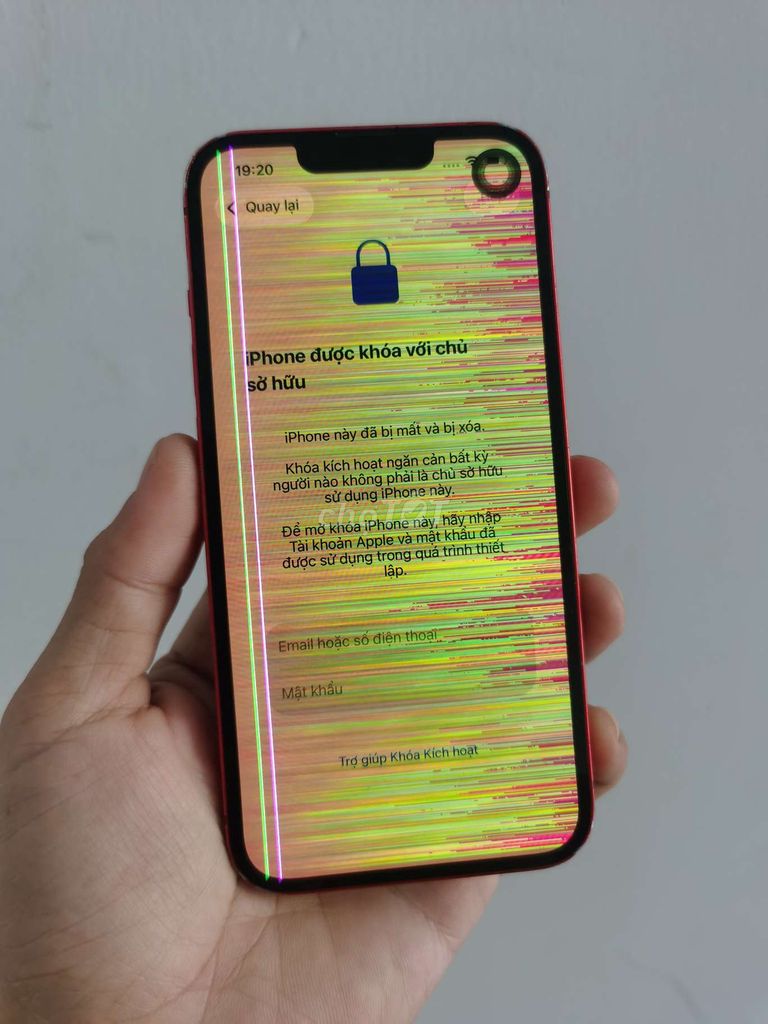 IPhone 13 128Gb VN/A Full Zin cho AE lấy linh kiện. Mua bán Điện thoại tại Quận Ninh Kiều Cần Thơ được đăng bởi Lãng Tử Cần Thơ hình 1