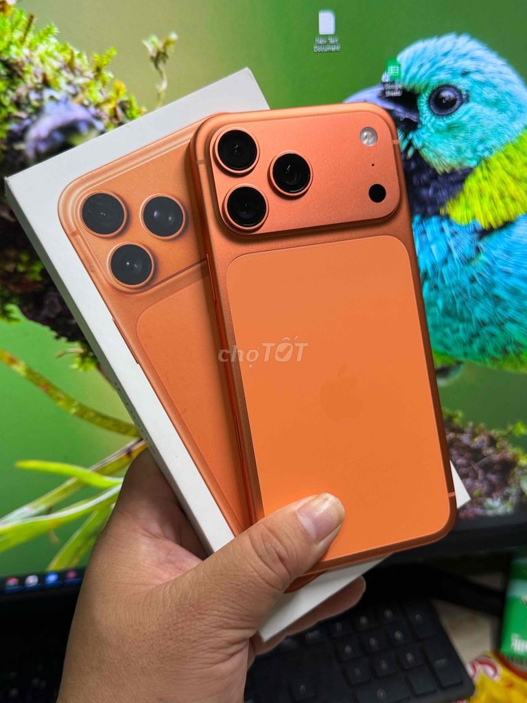 iPhone 17 Pro Max 2TB Cam Đã dùng. Mua bán Điện thoại tại Quận Gò Vấp Tp Hồ Chí Minh được đăng bởi Bunny  hình 1