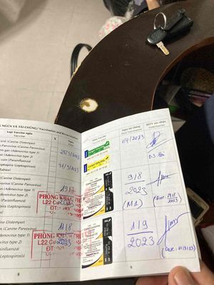 bán cho nhà. Mua bán Chó tại Quận 1 Tp Hồ Chí Minh được đăng bởi CATTHY