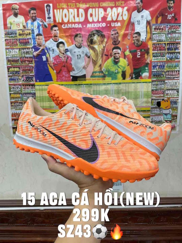 Giày đá bóng Nike Air Zoom Nam Cam size 43. Mua bán Đồ thể thao, Dã ngoại tại Thành phố Móng Cái Quảng Ninh được đăng bởi hưng dz hình 1