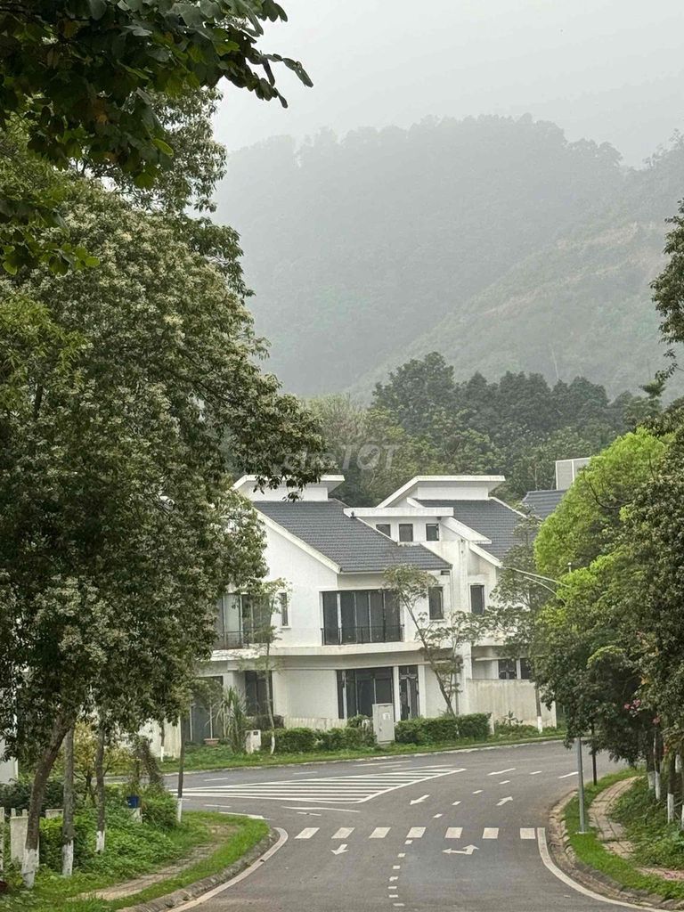 Cần bán Biệt thự song lập Xanh Villas