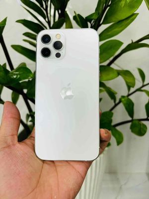 IPhone 12 Pro Trắng 128G