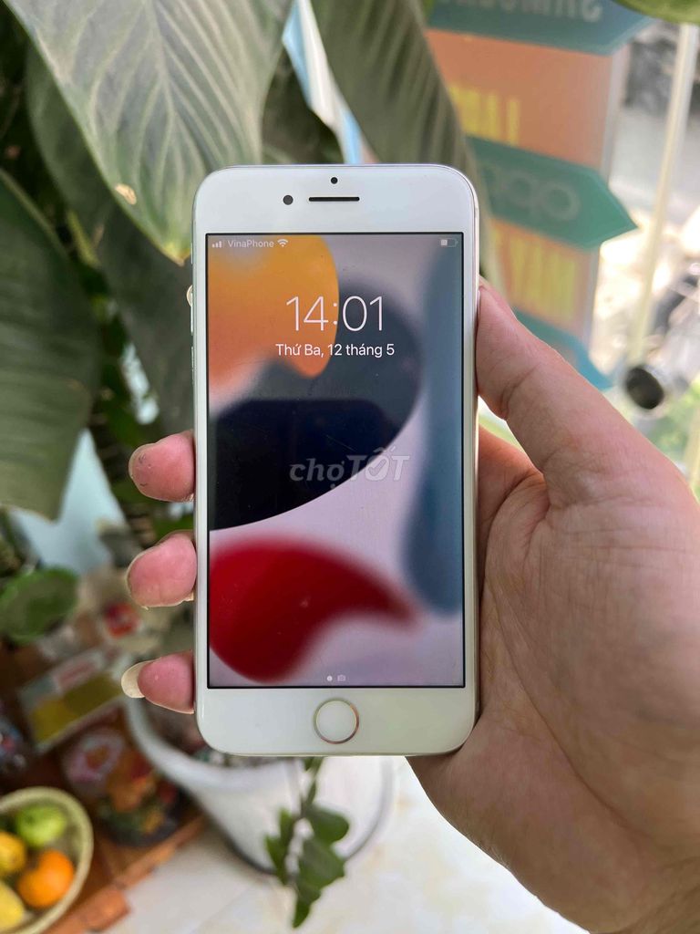 Apple iPhone 7 32GB Bạc Đã sử dụng. Mua bán Điện thoại tại Quận Hai Bà Trưng Hà Nội được đăng bởi Hoàng Phúc hình 1