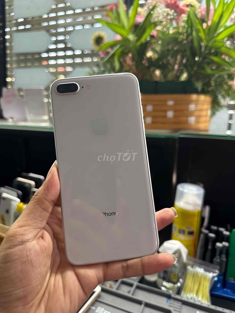 iPhone 8 Plus 64GB Trắng. Mua bán Điện thoại tại Quận Ninh Kiều Cần Thơ được đăng bởi Thổ Địa  hình 1