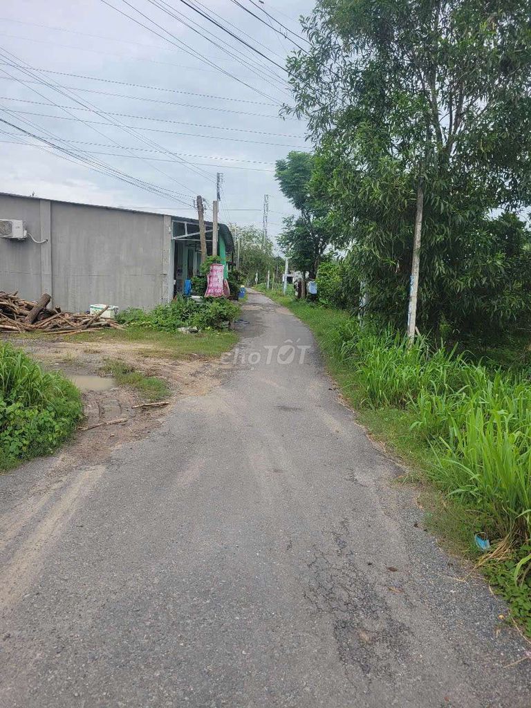 Cho thuê căn hộ trường Phúc 1 giá 1 triệu 5. Cho thuê Căn hộ/Chung cư tại Huyện Gò Dầu Tây Ninh được đăng bởi dang ngoc phuc hình 11