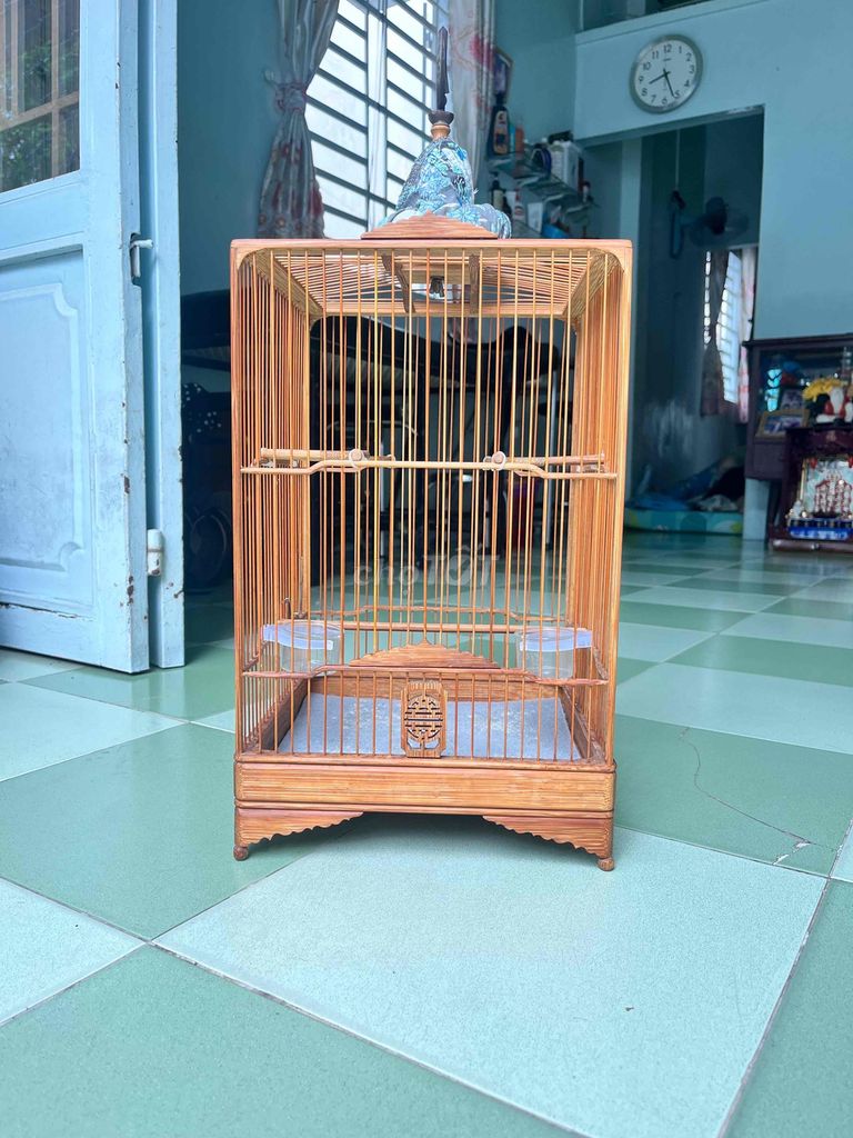 Lồng chim Tre già 5 màu Vuông 25x35. Mua bán Phụ kiện, Thức ăn, Dịch vụ tại Thành phố Thủ Dầu Một Bình Dương được đăng bởi NGƯỜI BÌNH DƯƠNG hình 1