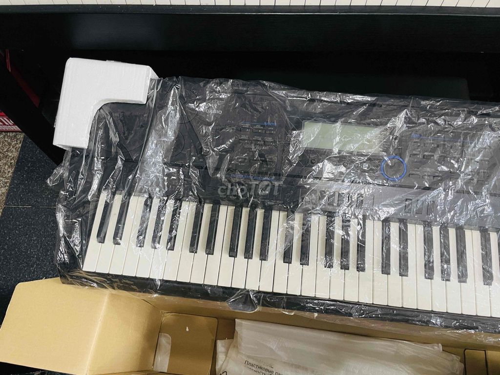 Đàn casio CTK-6000