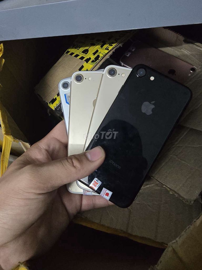 Apple iPhone 7G Đen, Vàng, Bạc. Mua bán Điện thoại tại Huyện Hóc Môn Tp Hồ Chí Minh được đăng bởi nguyễn quang triệu hình 1
