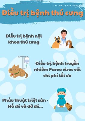 SPA THÚ CƯNG - TRÔNG GIỮ - ĐIỀU TRỊ - VACCIN. Mua bán Phụ kiện, Thức ăn, Dịch vụ tại Quận Hoàng Mai Hà Nội được đăng bởi Nguyễn Trung Thành