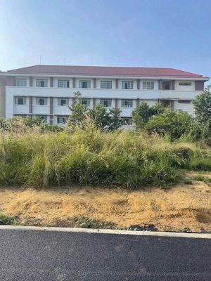 ĐẤT FULL THỔ CƯ 150M2 5X30 BÙI NGỌC THU THỦ DẦU MỘT. Mua bán đất tại Thành phố Thủ Dầu Một Bình Dương được đăng bởi Đình Bảo