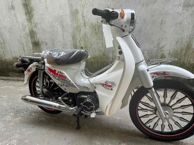 xe cup 50cc