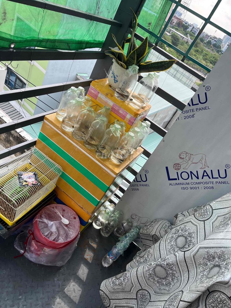 cá lia thia đồng tự nhiên bao kè. Mua bán Thú cưng khác tại Quận Tân Phú Tp Hồ Chí Minh được đăng bởi Vinh tuyết hình 1